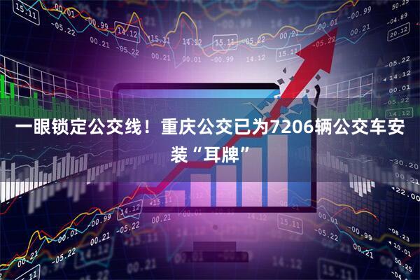 一眼锁定公交线！重庆公交已为7206辆公交车安装“耳牌”