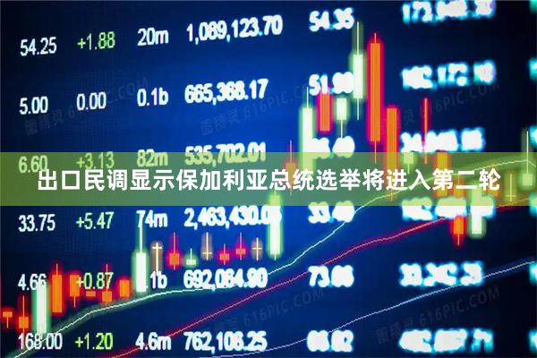 出口民调显示保加利亚总统选举将进入第二轮